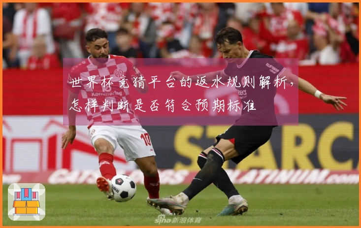 世界杯竞猜平台的返水规则解析，怎样判断是否符合预期标准