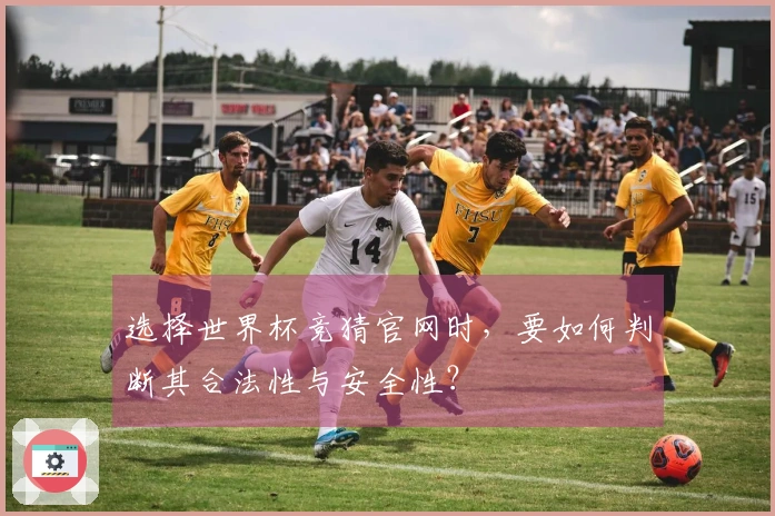 选择世界杯竞猜官网时，要如何判断其合法性与安全性？