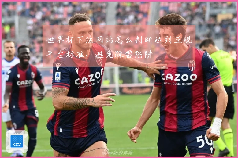 世界杯下注网站怎么判断达到正规平台标准，避免踩雷陷阱