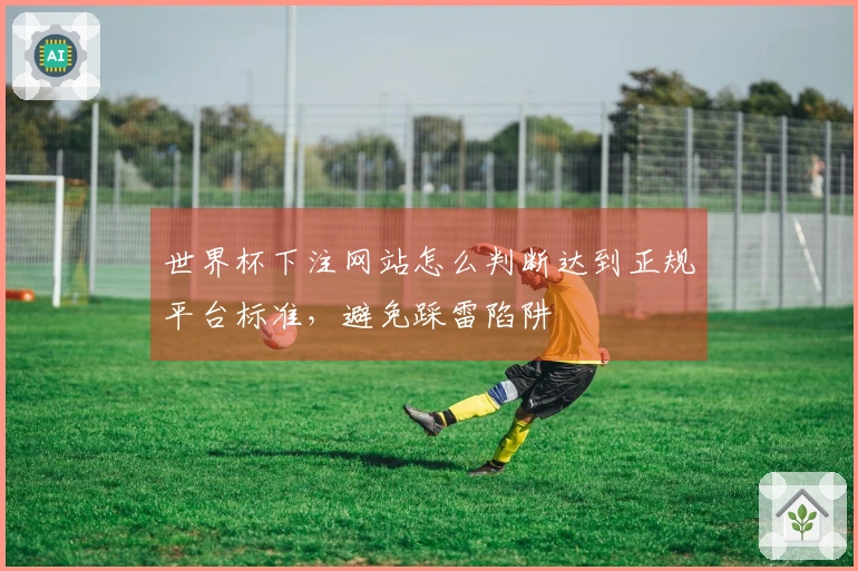 世界杯下注网站怎么判断达到正规平台标准，避免踩雷陷阱